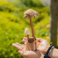 Sculpture Artisanale en Bois de Parasite - Ensemble de Deux Champignons