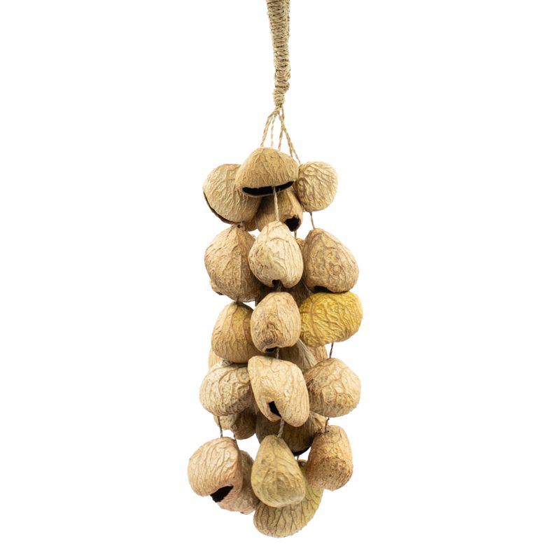 Coque de graine de Pangi moyenne - Hochet naturel en noix (30 coques)