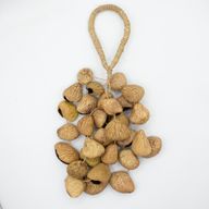 Coque de graine de Pangi moyenne - Hochet naturel en noix (30 coques)