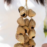 Coque de graine de Pangi moyenne - Hochet naturel en noix (30 coques)