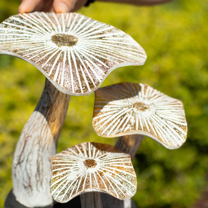 Art Champignon Doré - Badigeon - Moyen (25x25 cm)