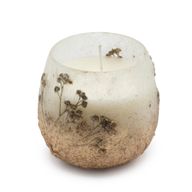Bois De Lumière Sauvage – Bougies En Pot En Verre – Petit