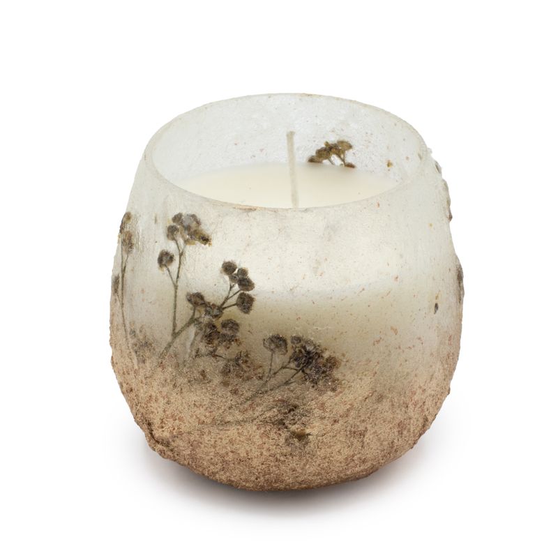 Bois De Lumière Sauvage – Bougies En Pot En Verre – Petit