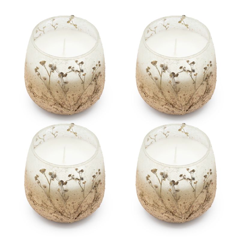 Bois De Lumière Sauvage – Bougies En Pot En Verre – Petit