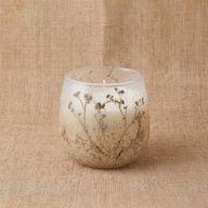 Bois De Lumière Sauvage – Bougies En Pot En Verre – Petit