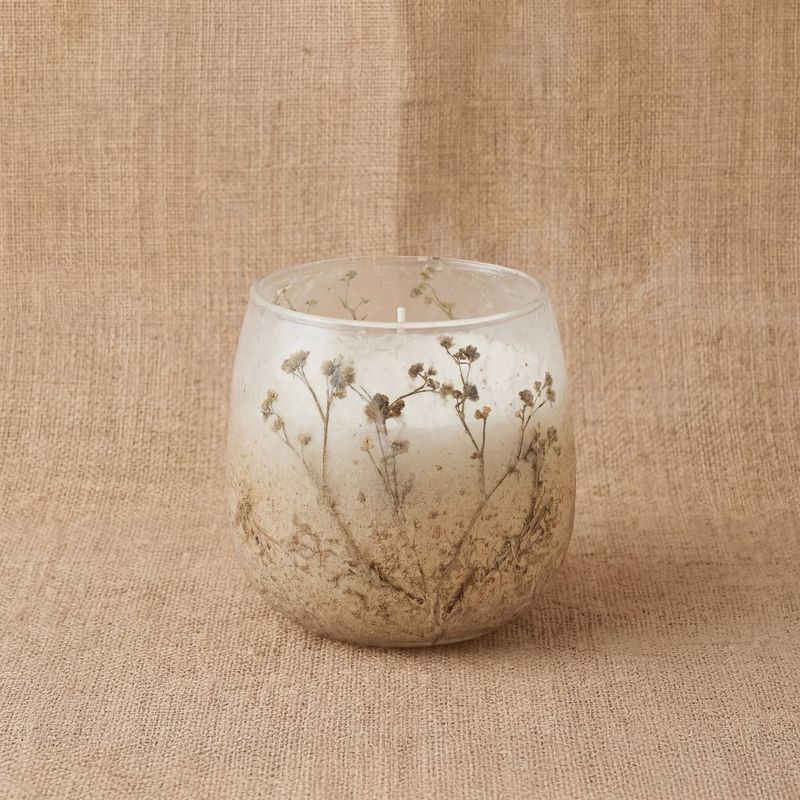 Bois De Lumière Sauvage – Bougies En Pot En Verre – Petit