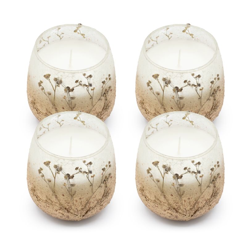 Bois De Lumière Sauvage – Bougies En Pot En Verre – Moyen