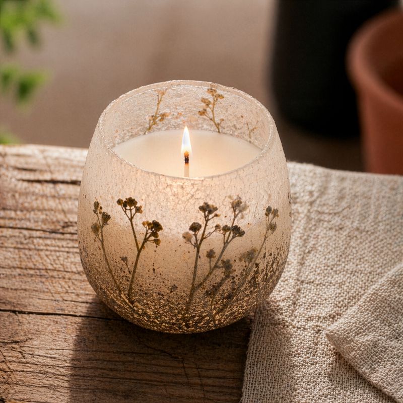 Bois De Lumière Sauvage – Bougies En Pot En Verre – Moyen