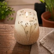Bois De Lumière Sauvage – Bougies En Pot En Verre – Grand