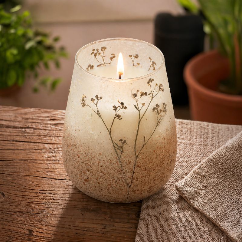 Bois De Lumière Sauvage – Bougies En Pot En Verre – Grand