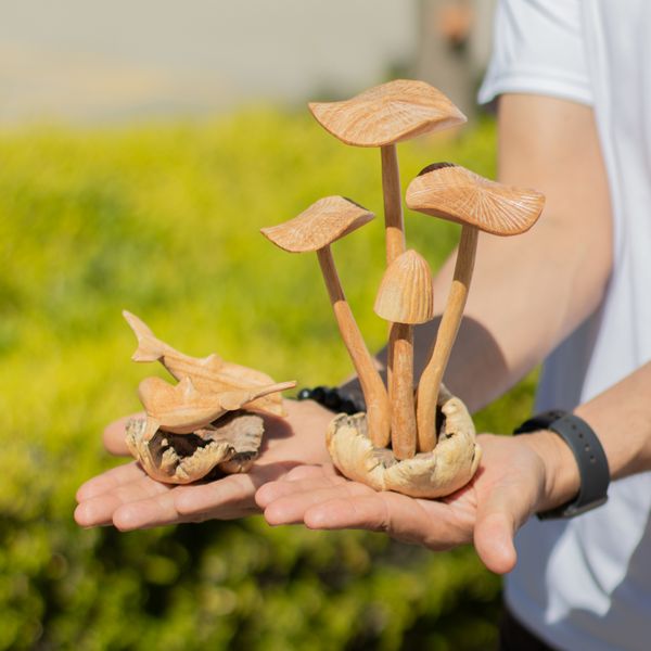 Sculptures Artistiques En Bois Parasite