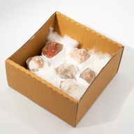 Pointes Polies en Vrac de Pierres Gemmes - Matrice avec tourmaline (environ 5 à 6 pièces)