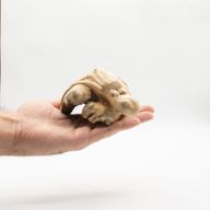 Sculpture en bois artisanale Parasite - Pieuvre gardienne de l'océan