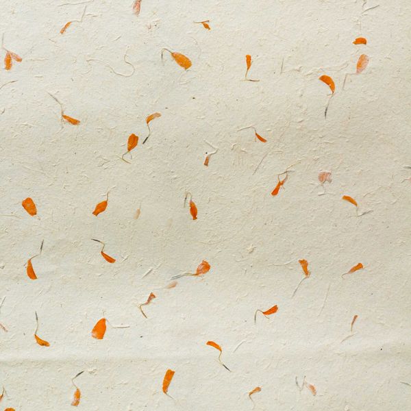 Papier d'Emballage Artisanal Lokta (51x76cm) - Souci