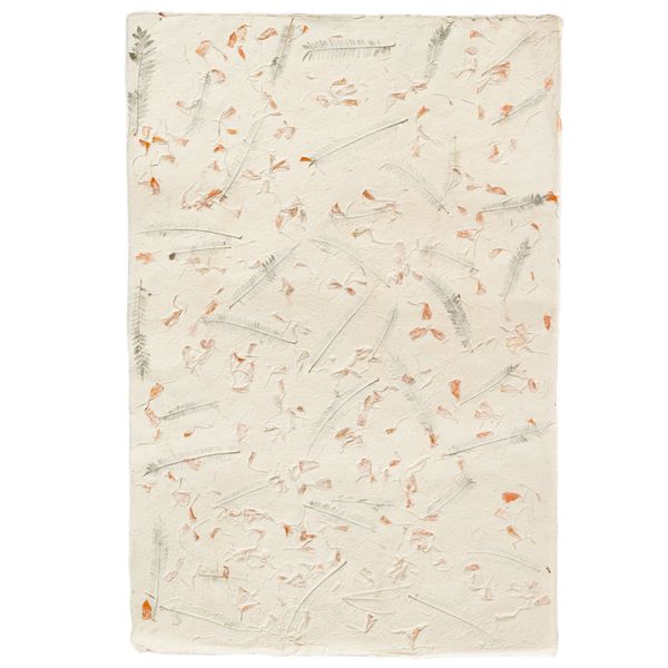 Papier d'Emballage Artisanal Lokta (51x76cm) - Mélange de Couleurs en Coton