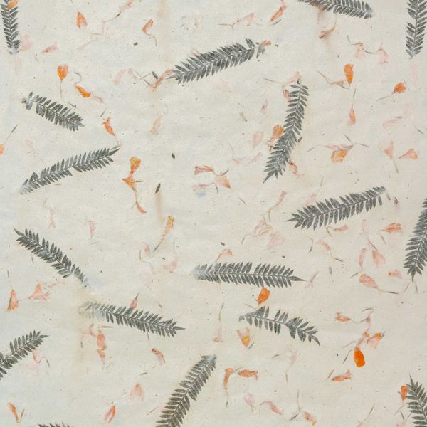 Papier d'Emballage Artisanal Lokta (51x76cm) - Mélange de Couleurs en Coton