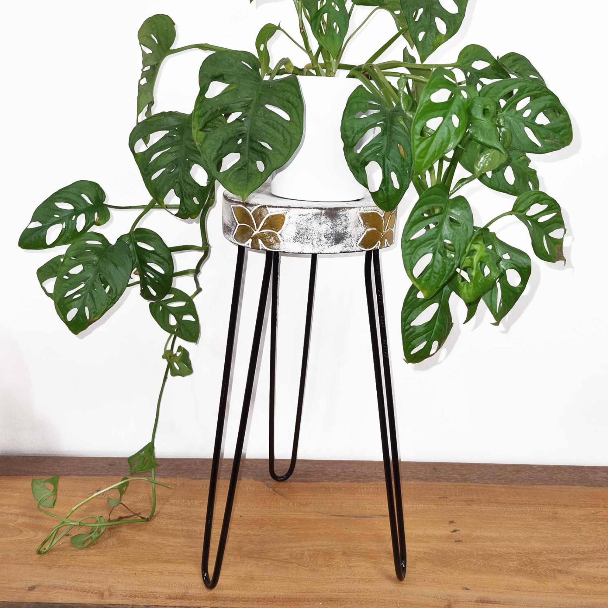 Support à Plantes en Bois Albasia