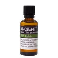 Huile essentielle d'arbre à thé biologique de 50 ml