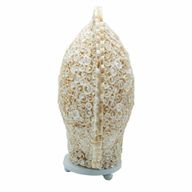 Lampe bohème en coquillage – coquille d'art taillée – grand rond – 30 cm
