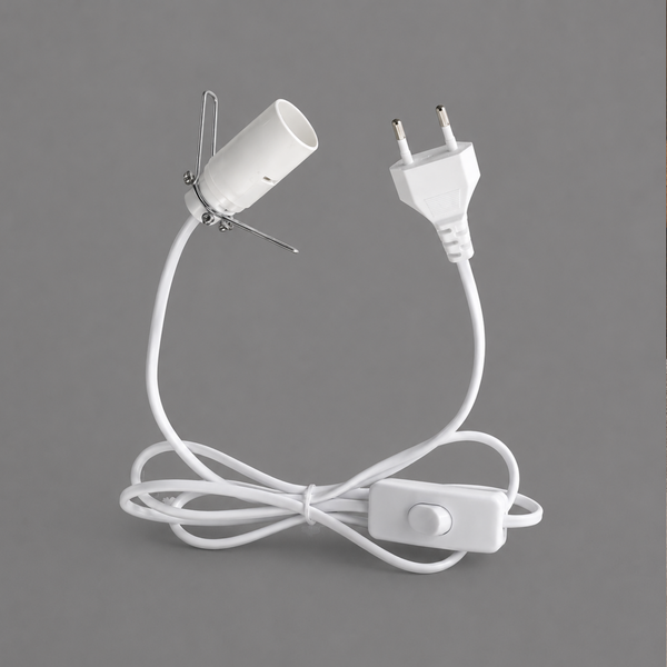 Adaptateurs & Cables