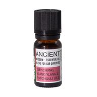 10 ml Mélange d'aromathérapie pour voiture - Grand Tour