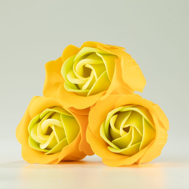 Boîte de 3 fleurs de savon - Roses printanières