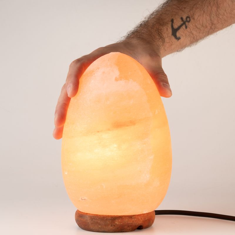 Lampe de sel en forme d'œuf - Base en bois