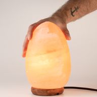 Lampe de sel en forme d'œuf - Base en bois