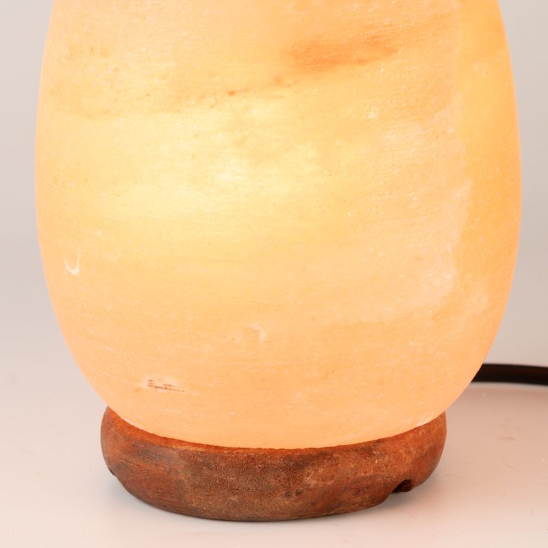 Lampe de sel en forme d'œuf - Base en bois