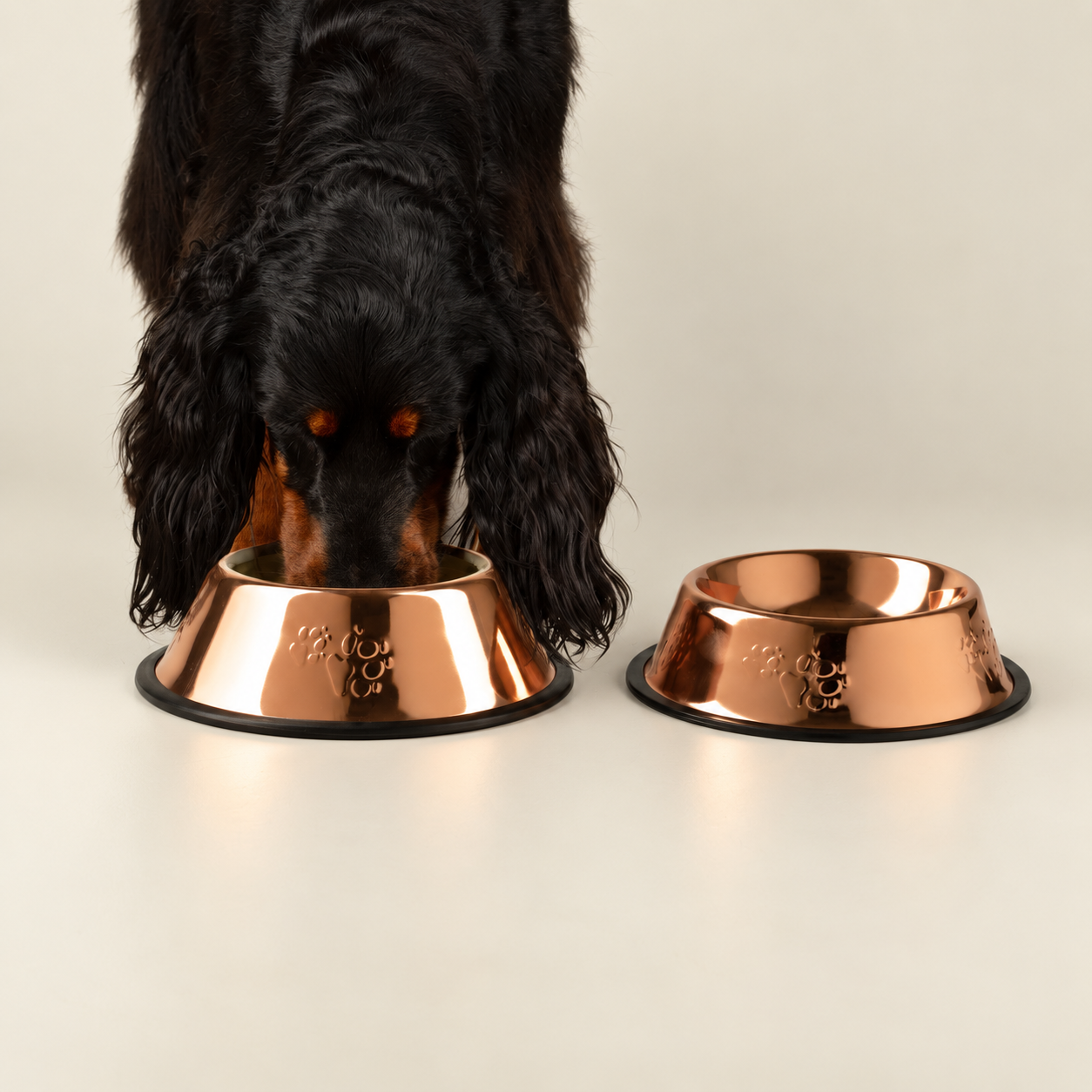 P-AW Bols pour animaux