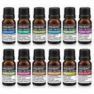 Top 12 des huiles essentielles