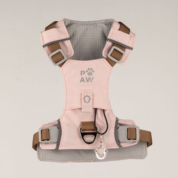 P-AW Harnais pour chiens avec médaillons