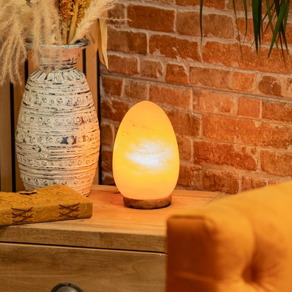 Lampe de Sel de l'Himalaya - Oeuf base en Bois