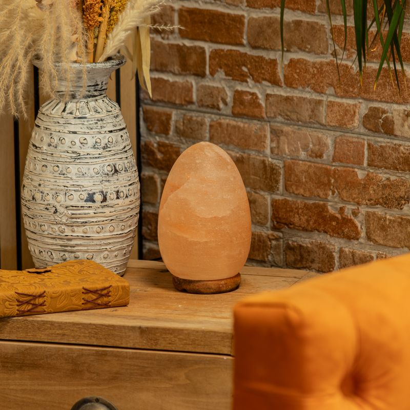 Lampe de sel en forme d'œuf - socle en bois