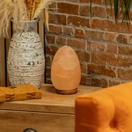 Lampe de sel en forme d'œuf - socle en bois