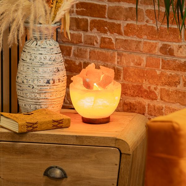 Lampe Vasque et Morceaux en Sel de l'Himalaya