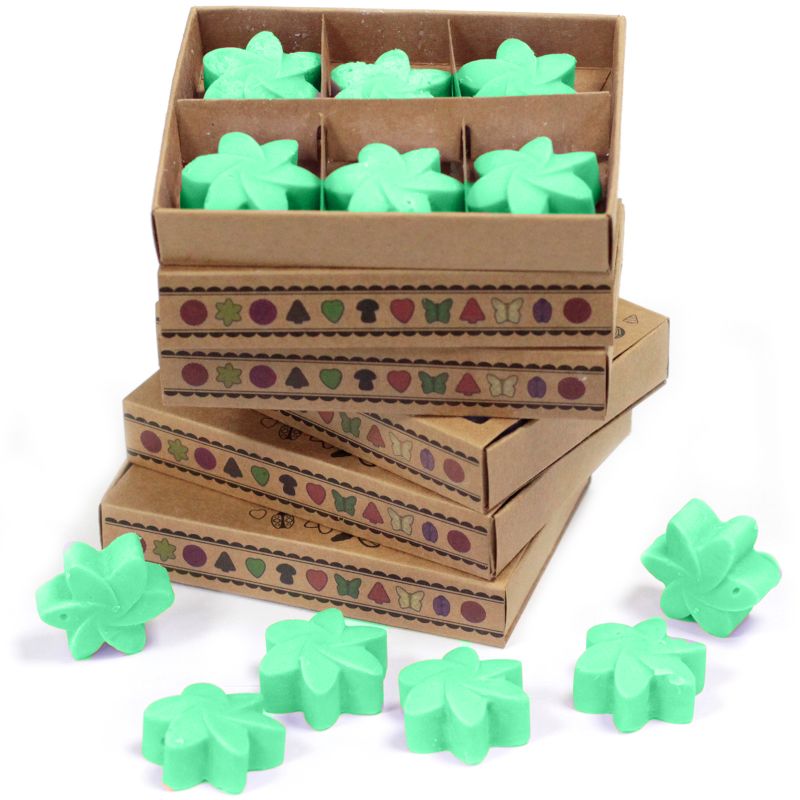Pack de démarrage de fondants de cire de soja naturelle avec présentoir à 4 niveaux