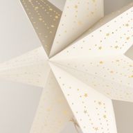 Étoile Lumineuse - Blanc Classique - Sept Branches - 60 cm