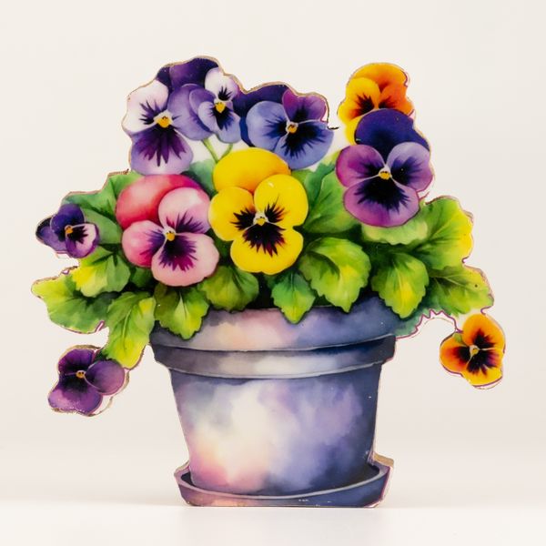 Plantes en Bois - Pensée Moyenne