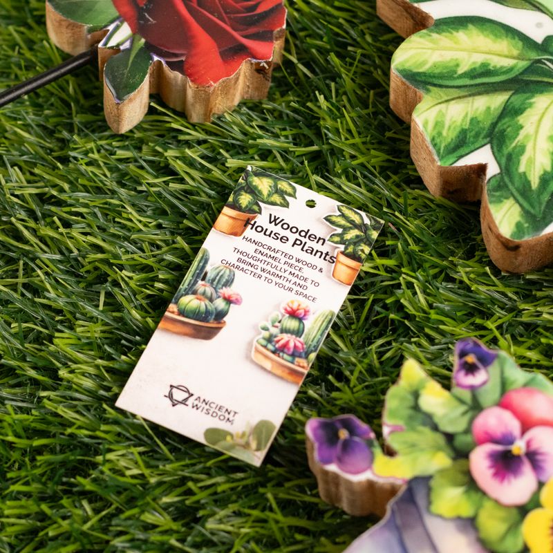 Plantes d'Intérieur en Bois - Pensée Moyenne