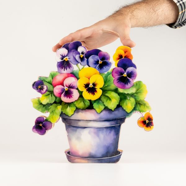 Plantes en Bois - Grande Pensée
