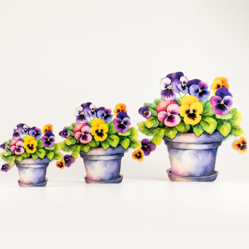 Plantes d'Intérieur en Bois - Pensée Moyenne