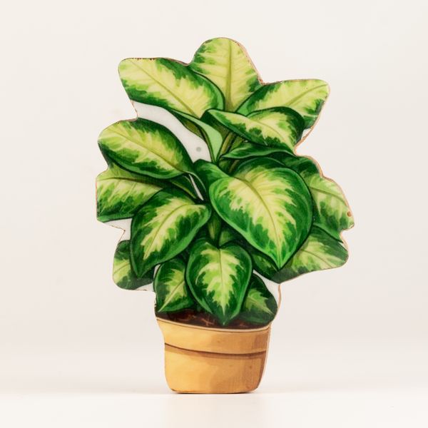 Plantes en Bois - Mini Plante Jungle