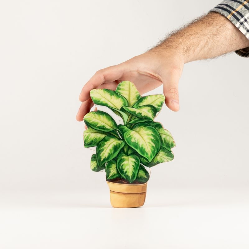 Plantes d'Intérieur en Bois - Mini Jungle