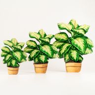 Plantes d'Intérieur en Bois - Mini Jungle