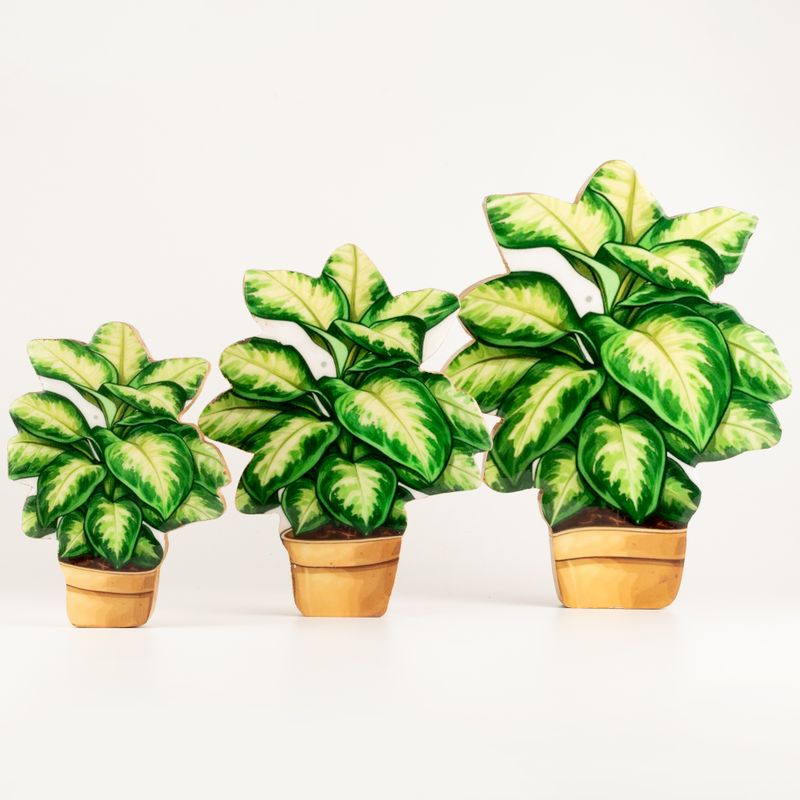 Plantes d'Intérieur en Bois - Mini Jungle