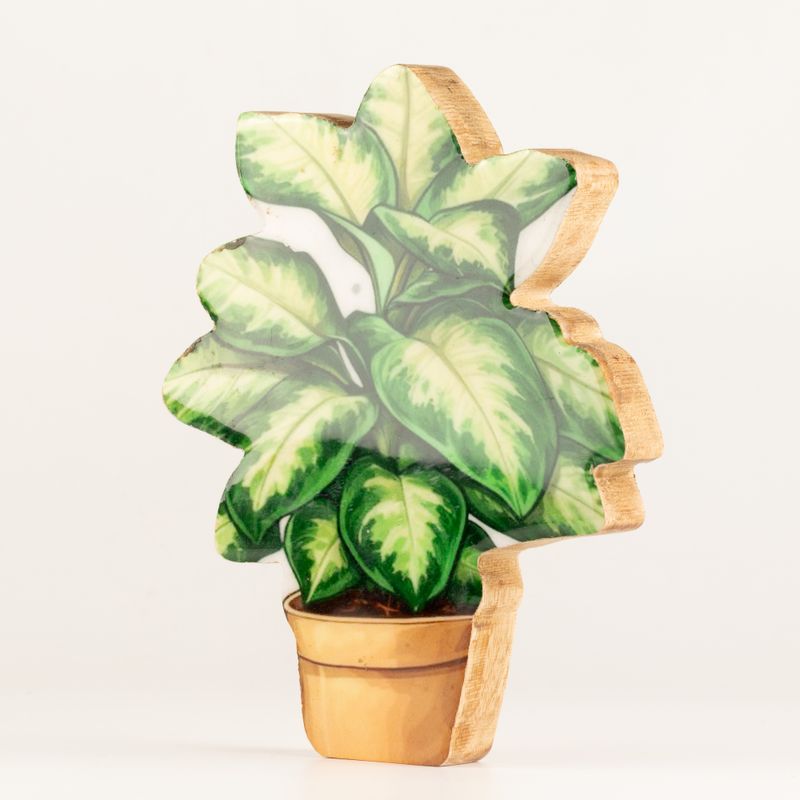 Plantes d'Intérieur en Bois - Plante de Jungle Moyenne