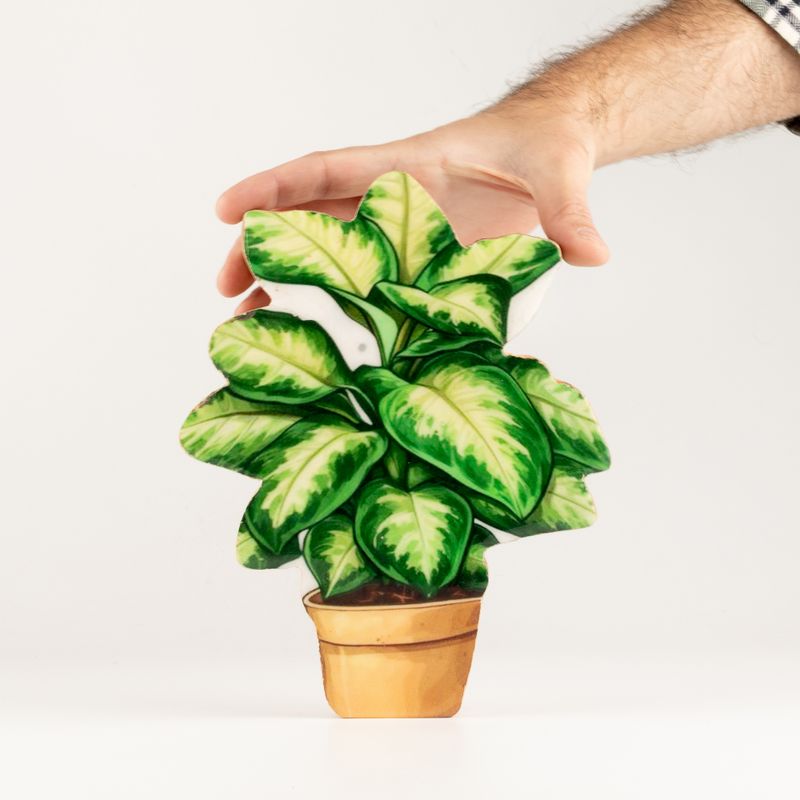 Plantes d'Intérieur en Bois - Plante de Jungle Moyenne