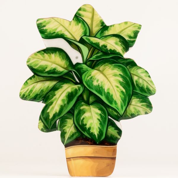 Plantes en Bois - Grande Pensée