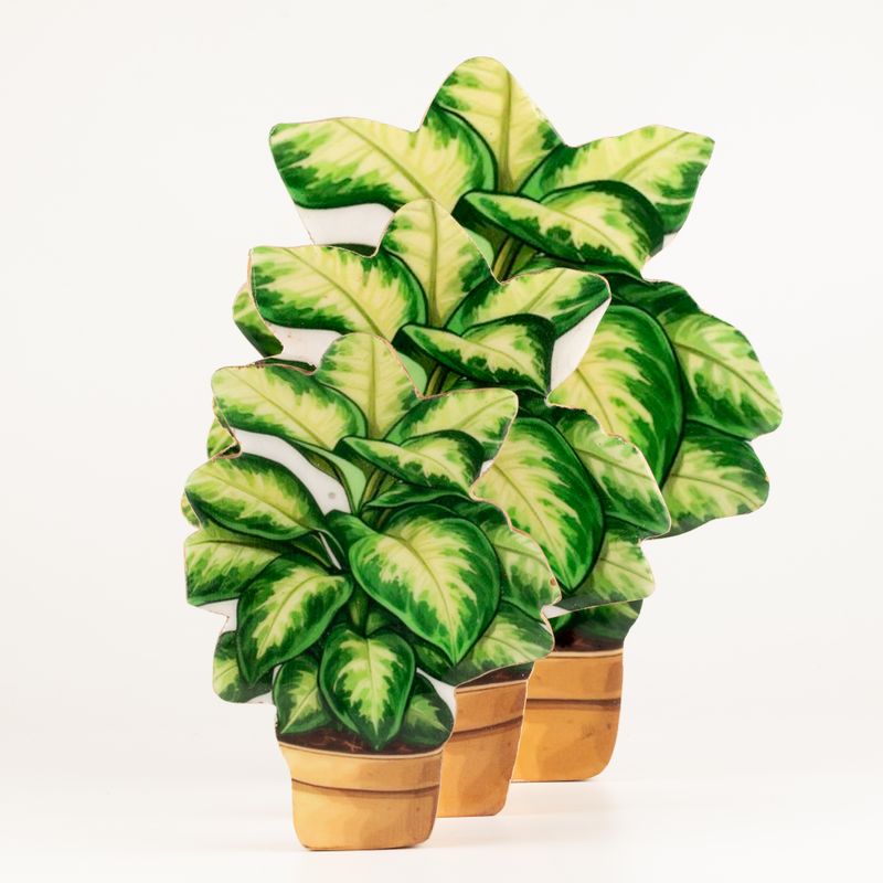 Plantes d'Intérieur en Bois - Grande Pensée